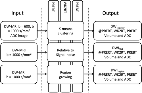 Figure 1. Workflow for segmentation with inputs for the three algorithms and resulting volumes and output from segmentation.