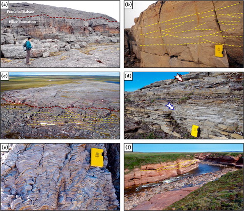 Figure 4. Field aspect of Sequence III and younger rocks of Neoproterozoic to Palaeozoic age. Field book, for scale, in (b, d, and e) is approximately 20 cm long. (a) Large-scale planar and inclined beds related to channel and bars forms, Ellice Formation. Geologist, for scale, is approximately 1.8 m tall. Note diabase related to the Franklin Large Igneous Province in the upper cliff. (b) Detail of cross-bedding (dashed lines) in fluvial sandstone, Ellice Formation. (c) Large-scale foreset strata of quartzarenite (dashed lines), aeolian member of the Ellice Formation. Foreground is approximately 300 m wide. (d) Alternating small-scale cross-beds in fine-grained sandstone and mudstone (lower arrow) and dolostone showing low-relief stromatolite forms (upper arrow), nearshore-marine member of the Ellice Formation. (e) Well-developed stromatolite forms in dolostone, Parry Bay Formation. (f) Fluvial sandstone of suspected Cambrian-Ordovician age, showing meso-scale channel cuts (dashed lines). Cliff in the foreground is approximately 20 m wide.