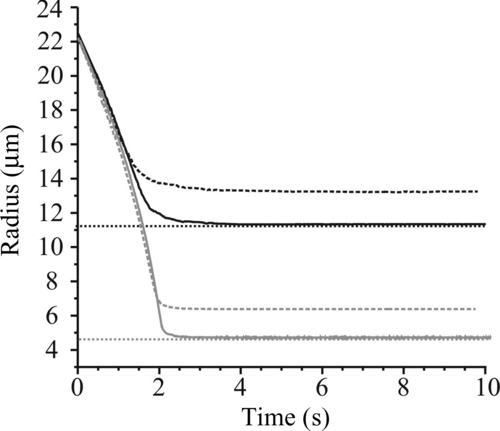 FIG. 8 Water evaporation from water–glycerol droplets of bulk solution concentration 17.4 g L–1 (gray) and 174 g L–1 without using a purge pulse sequence (dashed) and with (solid). The dotted line indicates the expected final size based on the expected initial concentration.