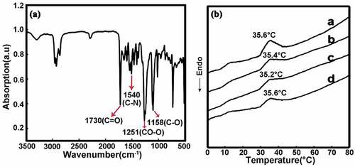 Figure 4. (a) FTIR image of PU microcapsules, (b) DSC curves of PU microcapsules.