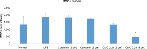Figure 6 Effect of curcumin or CMC 2.24 on levels of MMP-9 secreted by human monocytes.