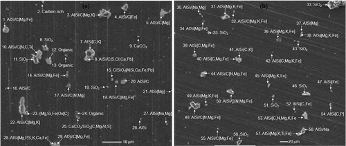 Figure 3. Typical SEIs of individual soil particles obtained from (a) a MSW-contaminated soil sample (Dh6) and (b) the countryside soil sample (Csl).