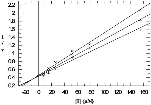 Figure 4. Dixon plot for determination of inhibition constant of acarbose (0–155 μM) on HSA-catalysed hydrolysis of starch (+: 5 mg/ml; △: 3.75 mg/ml; ×: 2.5 mg/ml).