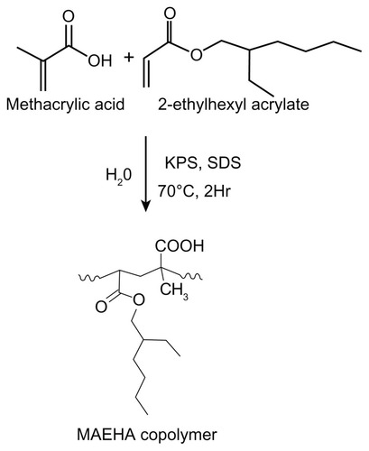 Figure 1 Synthesis of MAEHA copolymer.Note: Synthesis of MAEHA copolymer using methacrylic acid and 2-ethyl hexyl acrylate as monomers by microemulsion polymerization using KPS as a radical initiator and SDS as the surfactant.Abbreviations: MAEHA, methacrylic acid-co-2-ethyl hexyl acrylate; KPS, potassium persulfate; SDS, sodium dodecyl sulfate.