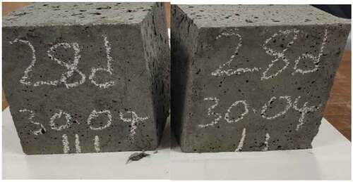 Figure 5. The cube specimens of expanded clay concrete and 1.6% basalt fiber on compressive strength tests