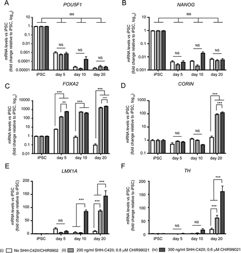 Figure 3. qRT-PCR expression profiling of pluripotency, midbrain, and dopaminergic markers during early differentiation under different SHH-C42II/CHIR99021 combinations in neuronal cultures enriched for mDANs. Differentiation was carried out using the optimized monolayer protocol, using NAS2 hiPSCs, with SHH-C42II/CHIR99021 ratios as follows: (I) no SHH-C42II, no CHIR99021; (ii) 200 ng/ml SHH-C42II, 0.8 μM CHIR99021; (iv) 300 ng/ml SHH-C42II, 0.6 μM CHIR99021. Results are from a single neuralization, and values are presented as means ± SEM of 3 terminal differentiations, fold-change versus hiPSCs. (A, B) Data are compared against hiPSC levels for these pluripotency markers, where: $$$ P < 0.001. (C-F) For these midbrain, floorplate and dopaminergic markers, data are compared within time-points and within treatments. Statistical comparisons against hiPSCs are not shown for clarity. ** P < 0.01; *** P < 0.001