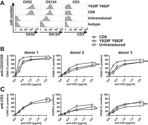 FIG 5 Costimulation by CD6 is dependent on CD6 Y629 and Y662 in primary CD4+ T cells. Flow cytometry analysis of primary CD4+ T cells transduced with rat domain 1-containing human CD6 or the Y629F Y662F double mutant protein fused to EGFP. (A) Cells stained with a rat domain 1-containing CD6 MAb (OX52) (left), a human domain 3-containing CD6 MAb (OX124) (middle), and a CD3 MAb (UCHT1) (right) show that there are similar levels of CD6 expression on transduced T cell blasts with ∼40-fold-higher MFIs and that CD3 levels in T cells were unchanged compared with those in untransduced cells. Negative isotype controls are shown for each MAb. (B and C) Cells were stimulated with different concentrations of CD3 MAb with (B) and without (C) CD6 MAb (OX52) (5 μg/ml) and measured for the percentage of CD69+ EGFP-positive cells. Compared with those for untransduced cells, the percentages of CD69+ cells were increased in cells transduced with CD6, but the effect of CD6 was reduced by the Y629F Y662F double mutation. *, P < 0.05; **, P < 0.01. Combined data from three experiments (means ± standard errors of the means) are shown. The unpaired Student t test was used to compare the Emax values of each dose-response curve.