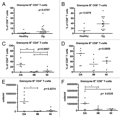 Figure 1. The proportion of granzyme B positive (GrB+) T-cells is increased in CML patients at diagnosis and further expands during dasatinib therapy. Fresh or frozen PBMNCs were first stained for surface markers (α-CD45, α-CD3, α-CD4 and α-CD8), and after fixation and permeabilization intracellular GrB was stained, and cells were analyzed with flow cytometry. (A) The relative proportions of GrB+CD4+ T-cells and (B) GrB+CD8+ T-cells in samples obtained from healthy controls (n = 5) and CML patients at diagnosis (dg) (n = 18). (C) The proportion of GrB+CD4+ T-cells and (D) GrB+CD8+ T-cells 6 mo after start on dasatinib (DA, n = 7), imatinib (IM, n = 6), or nilotinib (NI, n = 6) therapy. The absolute number of GrB+CD4+ (E) and GrB+CD8+ T-cells (F) was measured in CML patients 6 mo after the start of DA (n = 8), IM (n = 6), or NI (n = 5) therapy. Panels A and B were analyzed by nonparametric Mann Whitney t test and panels C, D and E by 1way ANOVA.