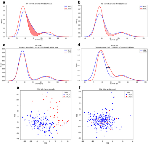Figure 6. Analysis of the ionic current features for the site chr2:121983221 residing in the 3’UTR of the mouse B2m gene locus. (a) and (b) are shown the distributions of C and U currents for WT and KO samples, respectively. (c) is reported the distribution of U currents only from WT and KO samples, while (d) is depicted the same distribution for C currents only. PCA of current features (intervals of ±2 nucleotides) for WT and KO samples are shown in (e) and (f), respectively. Each dot in PCA graphs represents an aligned C (blue) or a U (red).