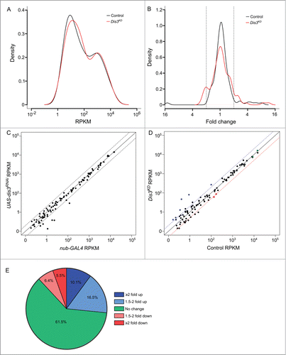 Figure 3. (See previous page). Expression patterns of miRNA in wing imaginal discs. (A) Kernel density plot of the general distribution of the 109 detected miRNAs indicates 2 peaks of miRNA expression. Knockdown of Dis3 results in a shift in the poorly expressed miRNAs (left hand peak) to a higher level of expression compared to the more highly expressed miRNAs which do not change (right hand peak). (B) Distribution of fold changes between both parents (Control) and grouped parents vs Dis3 knockdown (Dis3KD). Knockdown of Dis3 results in the emergence of peaks around +/− 2-fold change. Dotted vertical lines represent +/− 2-fold change. (C) Comparison of miRNA RPKMs between the 2 parental controls shows high similarity. Dotted lines show +/− 2-fold change. (D) Comparison of miRNA RPKM between grouped parental controls (Control) and Dis3 knockdown (Dis3KD) wing imaginal discs. Blue and red dotted lines represent +2-fold change and −2-fold change respectively. Selected miRNAs that increase or decrease in expression following Dis3 knockdown are colored in blue and red respectively. Selected miRNAs that remain unchanged are highlighted in green. (E) 61.5% of miRNAs in the wing imaginal disc do not change in expression following the knockdown of Dis3. 26.6% of miRNAs increase in expression >1.5-fold (10.1% ≥ 2-fold). 11.9% of miRNAs decrease in expression >1.5-fold (5.5% ≥ 2-fold).