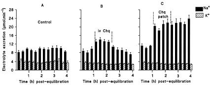 Figure 2. Na+ and K+ excretion rates in 0.077 M NaCl infused control rats (A), rats administered chloroquine (Chq) at 0.06 µg min−1 (B) or topically applied pectin hydrogel chloroquine matrix patch (C) for 1 h 20 min. Values are presented as means for each 20 min collection for the 4 h post-equilibration period; vertical bars indicate S.E. of means (n = 7 in all groups).