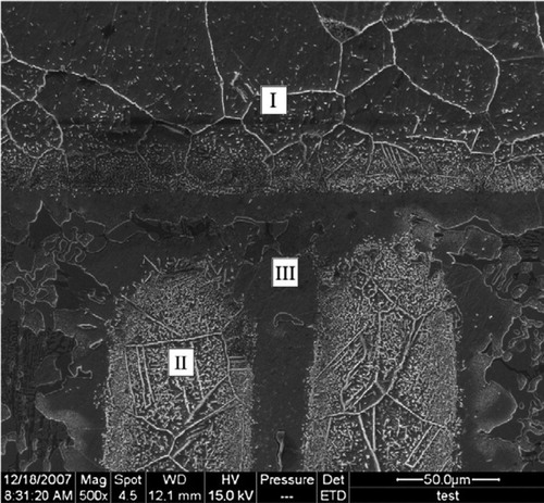 Figure 18. A section of a nickel-based honeycomb sandwich. The face sheet of the honeycomb sandwich is marked I, the core is marked II and the brazing region is marked III [Citation167]. Reprinted from Materials Characterisation, 60, Qiuming Zhang & Xiaodong He, Microstructural Evolution and mechanical properties of a nickel-based honeycomb sandwich, 178–182., Copyright (2009), with permission from Elsevier.