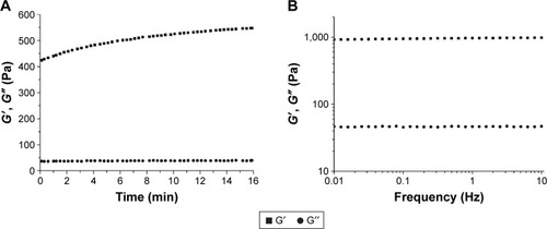Figure 6 Rheology measurements of the hydrogel formed by P2 at 1% wt/vol.Notes: Time sweep (A) and frequency sweep (B) for the P2 hydrogel. The hydrogel was made by mixing with an equal volume of phosphate buffer (pH 7.2), and the frequency sweep measurement was performed after a 30-min incubation at room temperature.Abbreviations: G′, storage modulus; G″, loss modulus; P2, RLDLGVGVRLDLGVGV; wt/vol, weight/volume.
