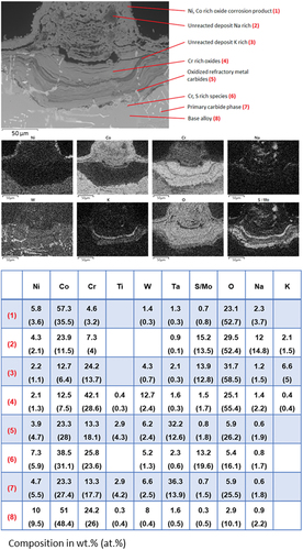 Figure 7. BSE image with point analysis and EDX element map of a corrosion feature on MarM 509 after 500 hours of exposure at 700 °C in an air atmosphere with 300 ppm SO2. The deposit flux was 1.5 µg/cm2/h each of 80/20 (Na/K)2SO4 and Mo..