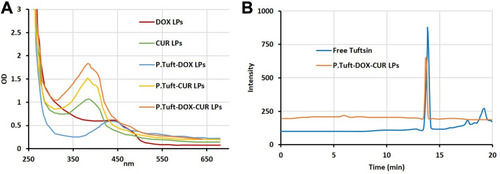 Figure 3 Characterisation of LPs.