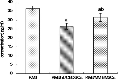 Figure 2. sIL-6R concentration levels in KM3 cell culture solution assessed by ELISA. (a) KM3/hUCBDSCs and KM3/MM-BMSCs vs KM3 (P < 0.01). (b) KM3/hUCBDSCs vs KM3/MM-BMSCs (P < 0.01). After sub-culture for 4 days, the culture medium was collected, and the expression levels of sIL-6R were examined by ELISA. The sIL-6R concentration was lowest after co-culture with hUCBDSCs. Each experiment was performed three times. sIL-6R: soluble IL-6 receptor; hUCBDSCs, human umbilical cord blood-derived stromal cells; MM-BMSCs, multiple myeloma bone marrow stromal cells.
