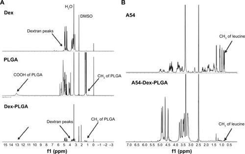 Figure 3 1H-NMR spectra of Dex, PLGA, and Dex-PLGA (A), and A54 peptide and A54-Dex-PLGA (B).Abbreviations: NMR, nuclear magnetic resonance; A54-Dex-PLGA, A54 peptide-functionalized poly(lactic-co-glycolic acid)-grafted dextran; DMSO, dimethyl sulfoxide.