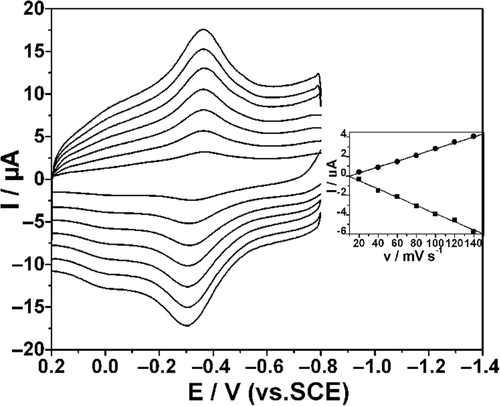 Figure 4. CVs of Hb/L-MWCNTs/Chi GCE in 0.10 M N2-saturated PBS (pH = 7.4) at a scan rate of 20, 40, 60, 80, 100, 120 and 140 mV s−1 (from inner to outer). The inset shows the calibration curves of peaks vs. scan rates.