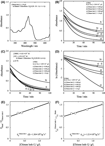 Fig. 2. Measurement of the second-order rate constant (kQ) for the reaction of Chinese leek-1 extract with 1O2.Notes: (A) Absorption spectrum of Chinese leek-1 extract in ethanol/chloroform/D2O. The concentration of Chinese leek-1 extract is 1.34 g/L. (B) Change in absorbance of DPBF at 413 nm during the reaction of DPBF with 1O2 in the absence and presence of sample (α-tocopherol and Chinese leek-1 extracts) in ethanol/chloroform/D2O at 35 °C. [DPBF]t=0 = 6.42 × 10−5 M and [EP]t=0 = 4.33 × 10−4 M. The values of [α-Toc]t=0 and [Chinese leek-1]t=0 are shown in panel B. (C) Change in absorbance of DPBF, where the correction of baseline due to Chinese leek-1 extract was performed. (D) Plot of ln (absorbance) vs. t. (E) Plot of Sblank/SChinese leek-1 vs. [Chinese leek-1]. (F) Plot of / vs. [Chinese leek-1].