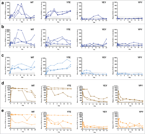 Figure 4. In vivo antigen characterization of pH-dependent antigen binding antibodies with altered FcRn binding affinities in cynomolgus monkeys. The anti-PCSK9 mAb A (a), mAb B (b), and mAb C (c), and anti-CTGF mAb D (d) and mAb E (e) were administered intravenously at single dose of 1.5 mg/kg (n = 3 animals per group, represented by different symbols). The percentage antigen was calculated by dividing the pre-dose antigen concentration with the plasma antigen concentration measured at each time point. The time-course percentage antigen inhibition is plotted for each animal. The dotted line at 100% represents the baseline normalized pre-dose antigen concentration in each animal.