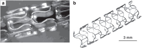 Figure 2. Lekton Magic coronary stent (a) non-expanded (reproduced from [Citation37], copyright 2004 John Wiley and Sons), (b) expanded (reproduced from [Citation33], copyright 2006 Cambridge University Press).