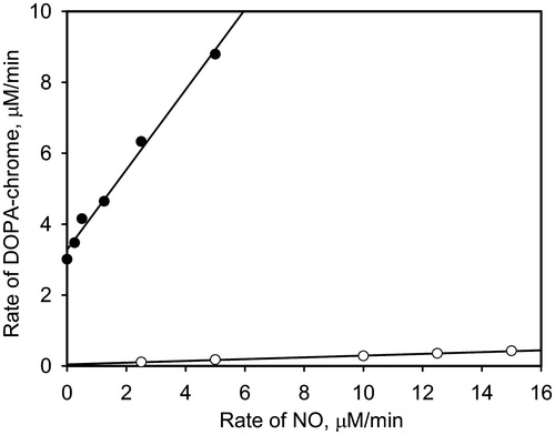 Figure 2. The initial rates of DOPA-chrome formation versus the NO generation rates in the presence of PO (close circles) and without (open circles). The data were obtained by spectrophotometric method under conditions given in Figure 1.
