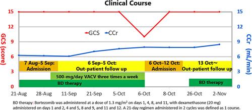 Figure 2 Clinical course of the patient after starting bortezomib/dexamethasone therapy. BD therapy: Bortezomib was administered at a dose of 1.3 mg/m2 on Days 1, 4, 8, and 11 with dexamethasone (20 mg) administered on Days 1 and 2, 4 and 5, 8 and 9, and 11 and 12. The 21-day regimen administered in 2 cycles was defined as 1 course.