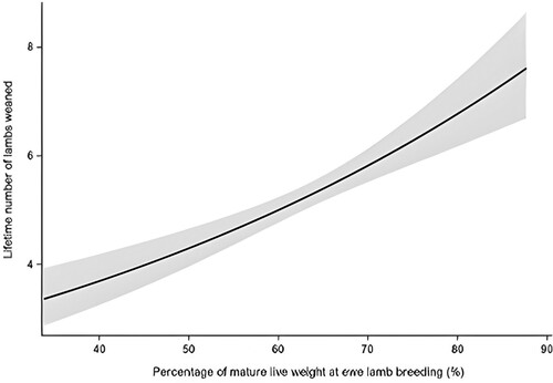 Figure 5. Lifetime number of lambs weaned of ewes (n = 398) in relation to the percentage of mature live weight achieved at ewe lamb breeding (d209). Predictions and 95% confidence intervals shown in grey. Only ewes with recorded live weights at d209 that were bred at four years of age (d1251) were included, irrespective of whether they were bred as ewe lambs.