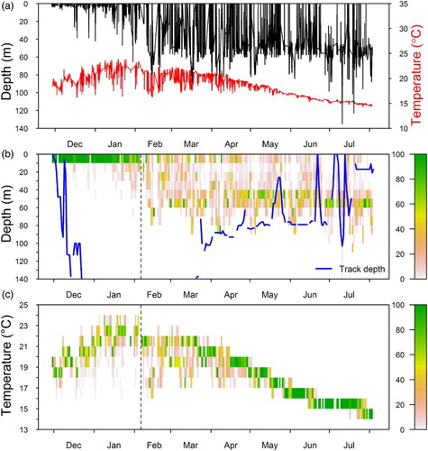 Figure 5. Depth and temperature recorded by a PAT tag for a hammerhead shark (Sphyrna zygaena, Shark 5) during a 250-day deployment. A. Time series depth (black) and temperature (red) data. B. Daily percentage of time spent in 10 m depth classes. The blue line shows the seabed depth at the track locations in Figure 4C. C. Daily percentage of time spent in 1 °C temperature classes. Vertical dashed lines separate two time phases with different behaviour.