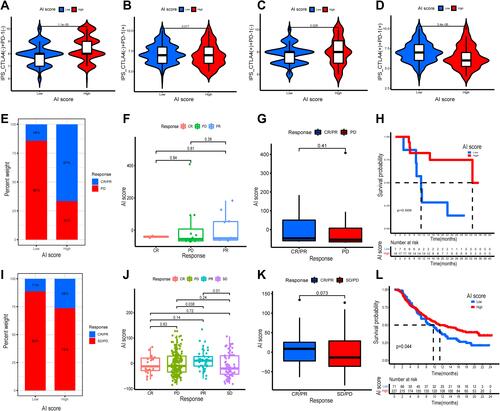 Figure 7 The role of AI-score based on autophagy clusters in predicting immunotherapeutic benefits and immune response. (A–D) Comparison of the clinical benefit of targeting CTLA4(-) + PD-1(-) (A), CTLA4(-) + PD-1(+) (B), CTLA4(+) + PD-1(-) (C), CTLA4(+) + PD-1(+) (D) on immunotherapy in high or low AI-score subgroups. (E) The percent weight of clinical response (CR/PR and PD) to anti-PD-1 immunotherapy in high or low AI-score subgroups in the GSE78220 cohort. (F) Distribution of AI-score in different anti-PD-1 clinical response status (CR/PR/PD) to immunotherapy in the GSE78220 cohort. (G) The boxplot illustrated no significant difference in AI-score among different anti-PD-1 clinical response groups in the GSE78220 cohort. (H) Kaplan–Meier curves showed high AI-score subgroup had better survival probability than low AI-score subgroup in GSE78220 cohort (Log rank test, p = 0.009). (I) The percent weight of clinical response (CR/PR and SD/PD) to anti-PD-L1 immunotherapy in high or low AI-score subgroups in the IMvigor210 cohort. (J) Distribution of AI-score in different anti-PD-L1 clinical response status (CR/PR/SD/PD) to immunotherapy in the IMvigor210 cohort. (K) The boxplot illustrated significant differences in AI-score among different anti-PD-L1 clinical response groups in the IMvigor210 cohort. (L) Kaplan–Meier curves showed high AI-score subgroup had better survival probability than low AI-score subgroup in IMvigor210 cohort (Log rank test, p = 0.044).