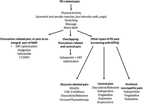 Figure 8. Possible treatment strategies for Parkinson’s Disease related pain. COMTi – catechol-o-methyltransferase inhibitor. DRT – dopamine replacement therapy, NMF – Non-motor fluctuations, KPPQ – King’s Parkinson’s Disease Pain Questionnaire, NSAID – non-steroidal anti-inflammatory drugs, COX-2 – cyclooxygenase-2