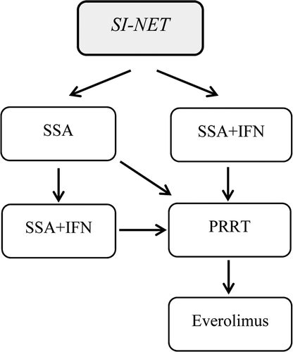 Figure 4. Treatment algorithm for the systemic treatment of small intestinal NETs. Debulking treatment, such as surgery, radiofrequency ablation and liver embolisation are not included in the algorithm.