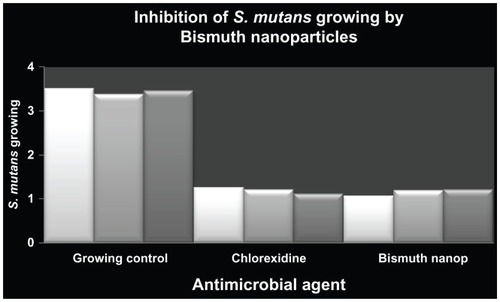 Figure 2 Antimicrobial activity of zerovalent bismuth nanoparticles against Streptococcus mutans growth.Notes: The y axis shows the optical density units of S. mutans growth. S. mutans culture without any inhibitor was used as growing control and chlorhexidine 0.12% as a positive inhibition control. Zerovalent bismuth nanoparticles were used at a final concentration of 2 mM.