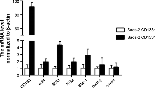 Figure S1 The RT-PCR analysis of mRNA level normalized to β-actin.Notes: The genes of the CD133+ or CD133− Saos-2 cells were analyzed; Data are expressed as mean ± SD (n=3).Abbreviations: mRNA, messenger RNA; RT-PCR, real-time polymerase chain reaction; SD, standard deviation.