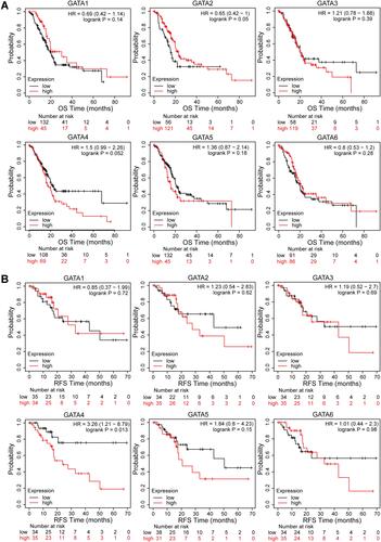 Figure 8 Survival analysis of GATA family members in the TCGA-PAAD cohort. (A) Kaplan-Meier curves for overall survival of PC patients based on the expression of GATA family members. (B) Kaplan-Meier curves for regression-free survival of PC patients based on the expression of GATA family members.