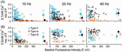 Figure 2. Lack of correlation between GCaMP baseline fluorescence (F) and response amplitude (ΔF/F) within type Ib, Is and II boutons. (A) ΔF/F at 0.1 mM Ca2+, with stimulus frequency of 10, 20, and 40 Hz. and (B) same conditions but at 0.5 mM Ca2+. Note the large range of response amplitude and baseline fluorescence level for each synaptic category. Regardless, the distinct frequency response for each population remained evident (see the collapsed mean ± SD for max ΔF/F). Separate populations of larval preparations were sampled for 0.1 (8–11 NMJs) and 0.5 mM Ca2+ (5 NMJs). Mostly, only one NMJ was imaged from each larva. Student’s t-tests with Bonferroni’s corrections. *p < .05, **p < .01, ***p < .001 for this and following figures.