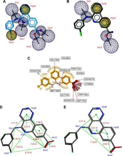 Figure 2 Two sets of combinations of high-performance pharmacophore models for the 3PE1 target.