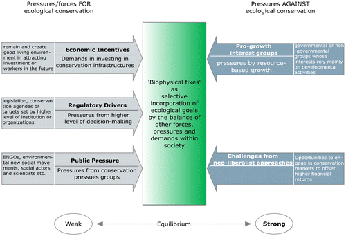 Figure 1. Conceptualising the decision-making rationalities for the designation of ecological spaces.