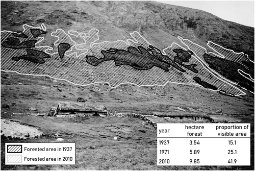 Figure 9. The extent of forest in 1937 and 2010 visualized on the historical photograph from 1937 using the integrated world-to-pixel function of the WSL-MPT