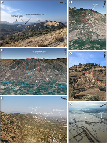 Figure 4. (a) The relict alluvial fans. (b) Modern alluvial fan in the eastern part of the BMG (Google Earth). (c) Colluvial fans and floodplain of the BMG. (d) Deep-seated landslide formed on Pliocene sediments (Google Earth). (e) Shallow landslide formed on relict alluvial fans. (f) Oblique drone picture of the cut-offs and the floodplain during a flood.