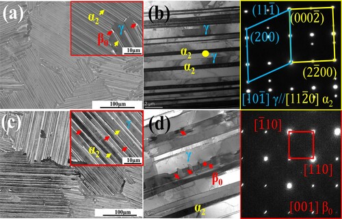 Figure 1. (a) BSE image of the P-HIPed condition, the insert image shows high magnification, (b) BF image of α2/γ lamellae, the corresponding SAED patterns of α2/γ lamellae, (c) BSE image of Aged condition, the insert image shows high magnification, (d) BF image of the interfacial β0, the corresponding SAED patterns of β0 phase along [001]β0 direction.