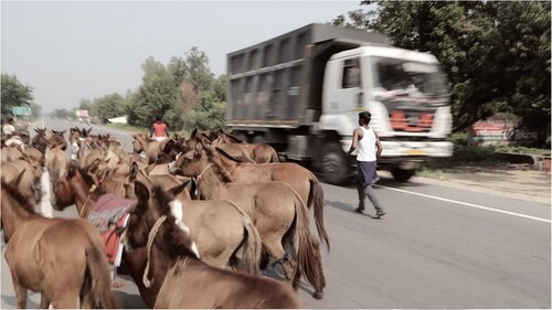 FIGURE 5. On the journey from Barabanki, India to Nepalganj, Nepal.