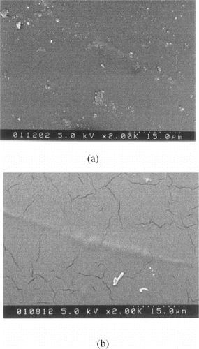 Figure 2. SEM micrographs of the MPC-BA coated (a) and noncoated (b) PU tubing after circulating in BBS solution for 50 h and bovine serum albumin for 1 h.