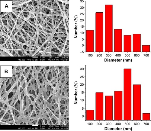 Figure 2 SEM micrographs of the drug-eluting PLGA nanofibers.Notes: Morphologies and diameter distributions of (A) sheath-core-structured nanofibers and (B) blended nanofibers.Abbreviations: SEM, scanning electron microscopy; PLGA, poly(d,l)-lactide-co-glycolic acid.