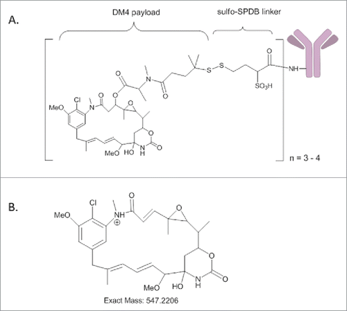 Figure 1. (A) Schematic diagram of antibody linked with DM4 cytotoxic agent through sulfo-SPDB; (B) Structure of the maysine fragment ion derived from DM4.