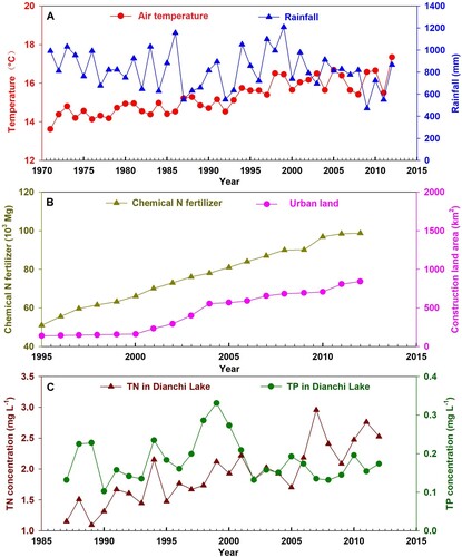 Figure 2. (a) Historical variations of air temperature and rainfall in Kunming City, (b) chemical nitrogen fertilizer application (1 Mg = 106 g) and urban land area in Kunming, and (c) total phosphorus (TP) and total nitrogen (TN) concentrations in Dianchi Lake.