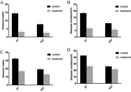 Figure 5. Effects of microbial agents on the occurrence of cotton Verticillium wilt in the bolling period in the mildly affected parcel (A, B) and in the severely affected parcel (C, D).