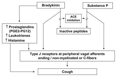 Figure 1 Pathophysiology of angiotensin-converting enzyme inhibitor-induced cough.Citation71,Citation72