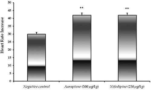 Figure 3.  Effect of auraptene versus nifedipine on HR. **: p < 0.01 (comparison with negative control).