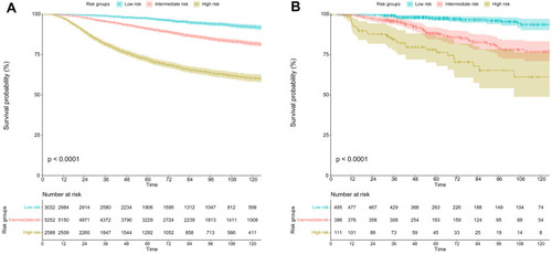 Figure 6 Kaplan-Meier curves for overall survival stratified by risk groups based on total prognostic scores from the nomogram model for (A) the training cohort and (B) the validation cohort.